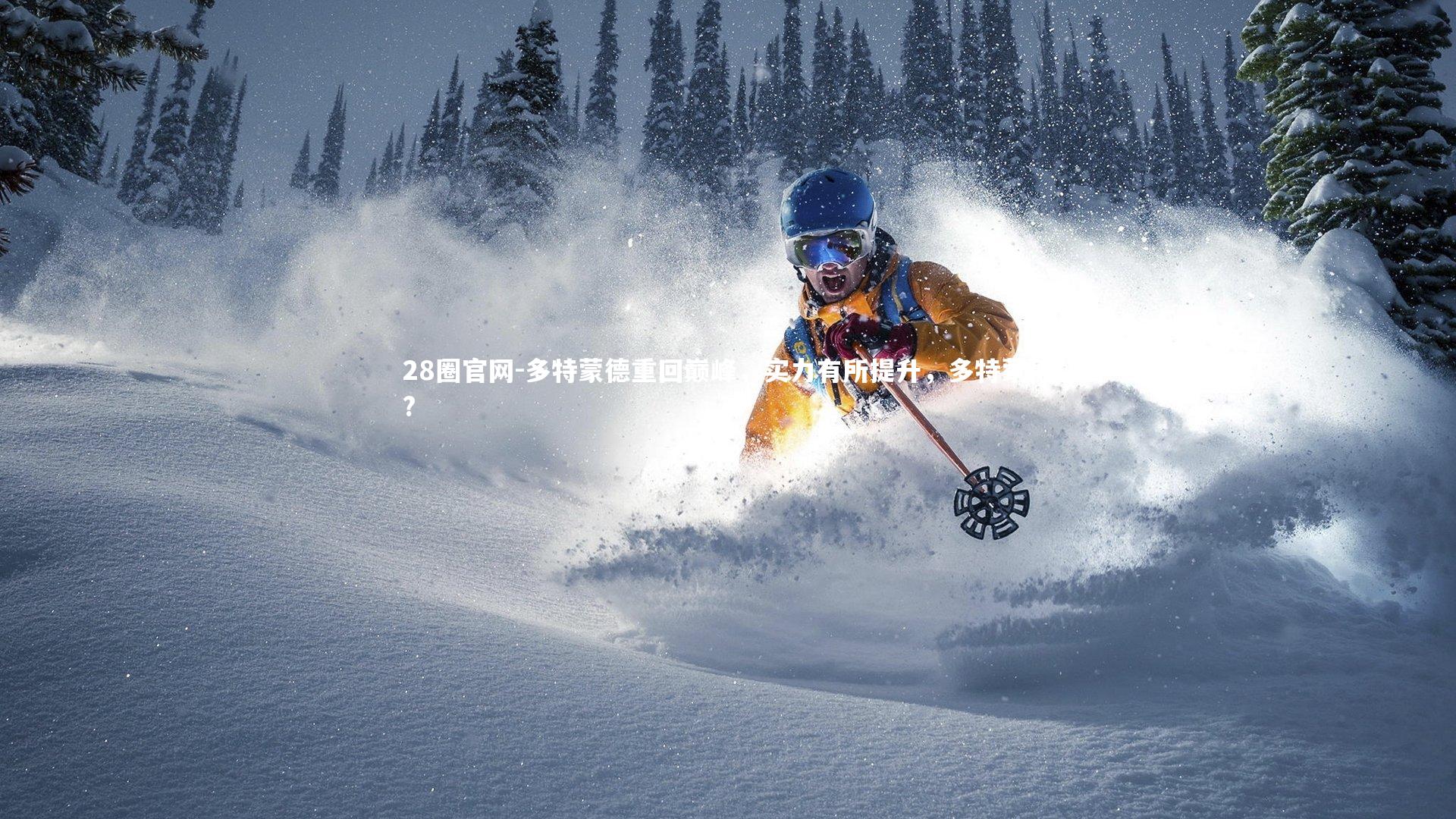 多特蒙德重回巅峰,实力有所提升,多特蒙德?